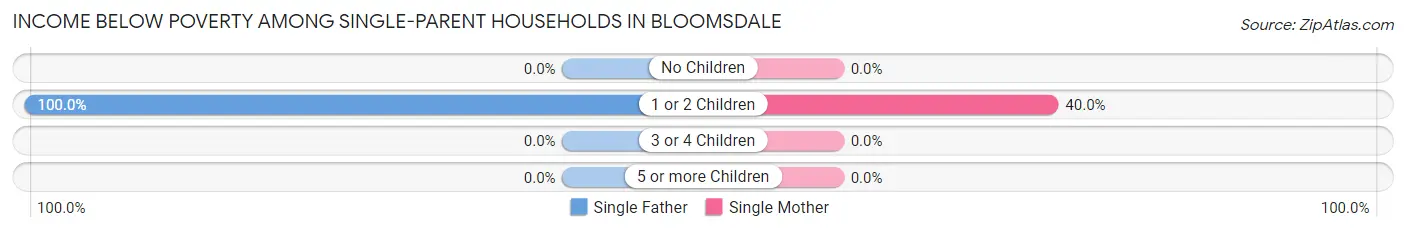 Income Below Poverty Among Single-Parent Households in Bloomsdale