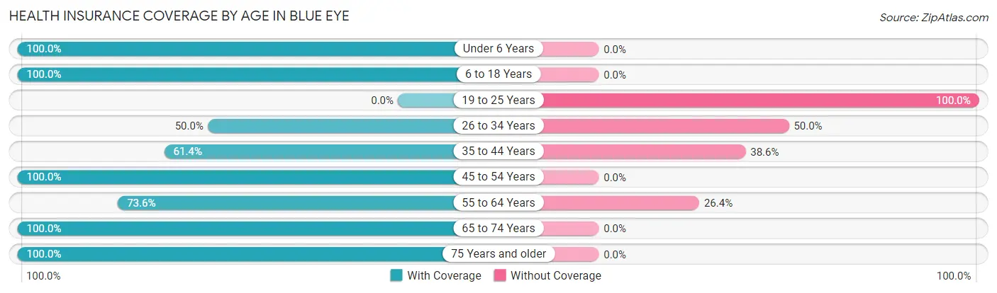 Health Insurance Coverage by Age in Blue Eye