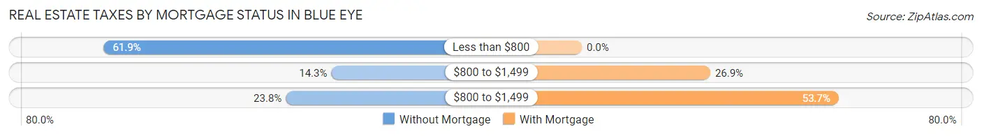 Real Estate Taxes by Mortgage Status in Blue Eye