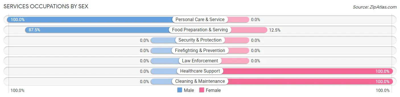Services Occupations by Sex in Blue Eye