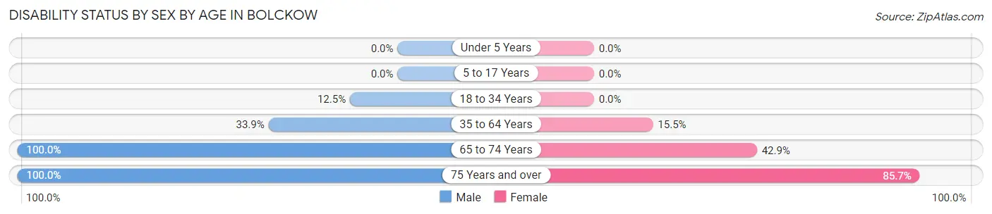 Disability Status by Sex by Age in Bolckow