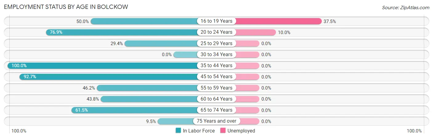 Employment Status by Age in Bolckow