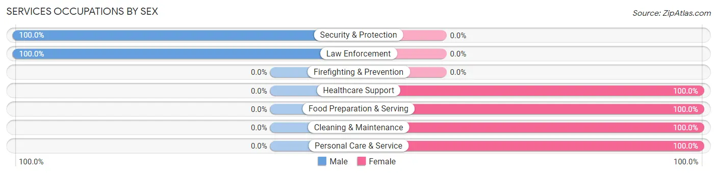 Services Occupations by Sex in Bolckow