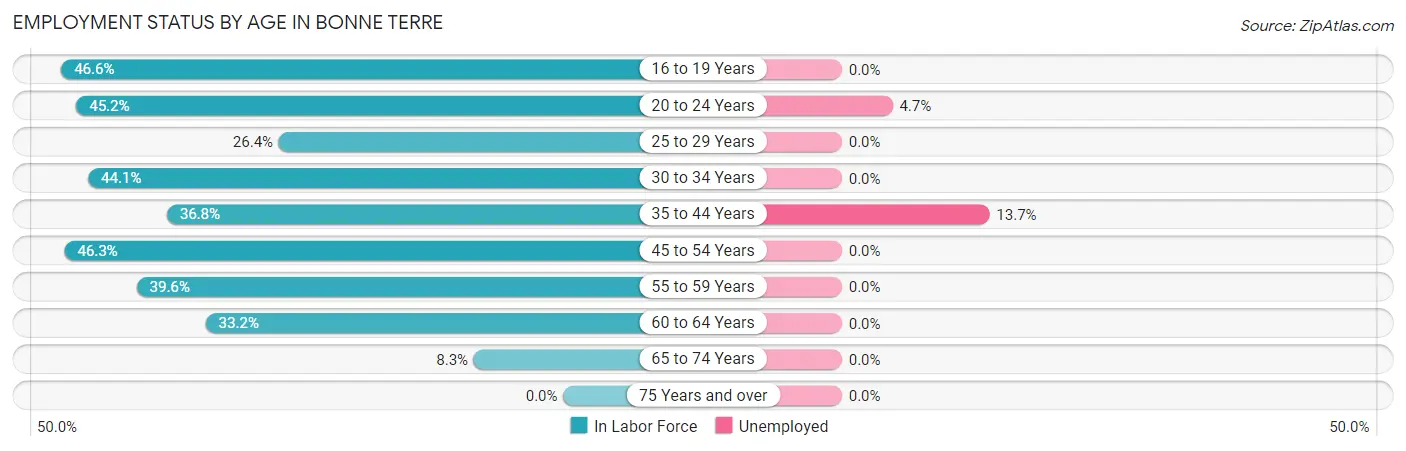 Employment Status by Age in Bonne Terre