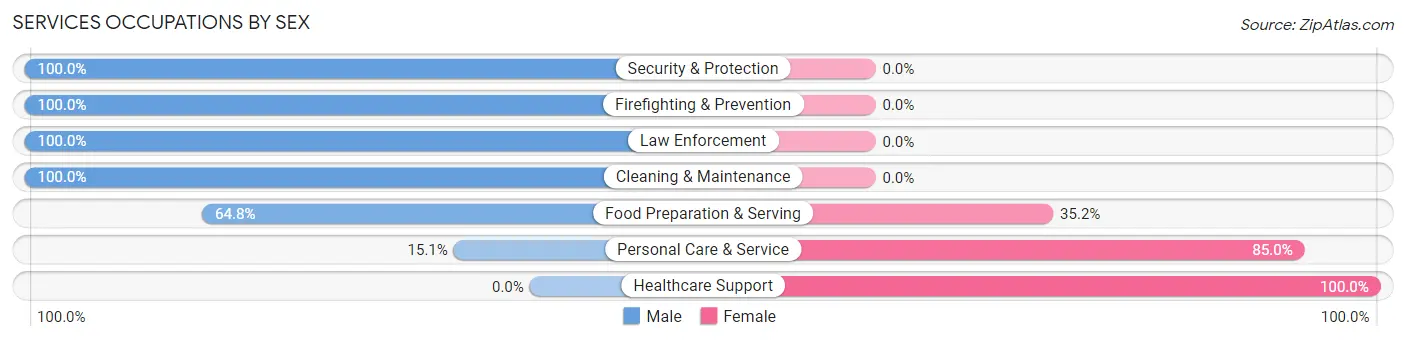 Services Occupations by Sex in Bonne Terre
