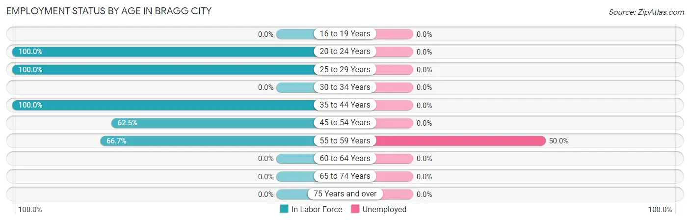 Employment Status by Age in Bragg City