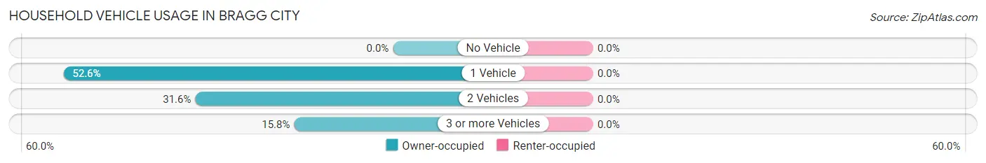 Household Vehicle Usage in Bragg City