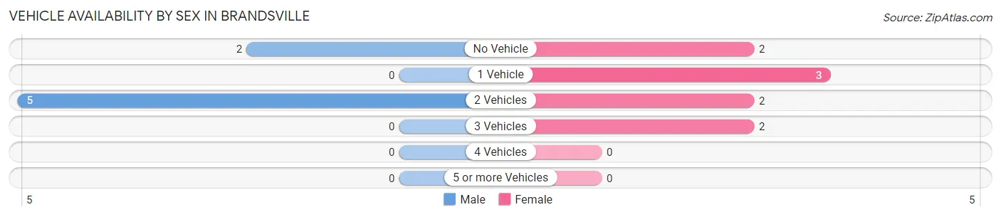 Vehicle Availability by Sex in Brandsville