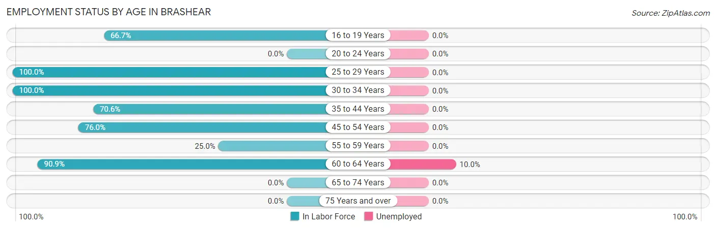 Employment Status by Age in Brashear