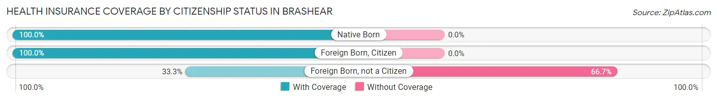 Health Insurance Coverage by Citizenship Status in Brashear
