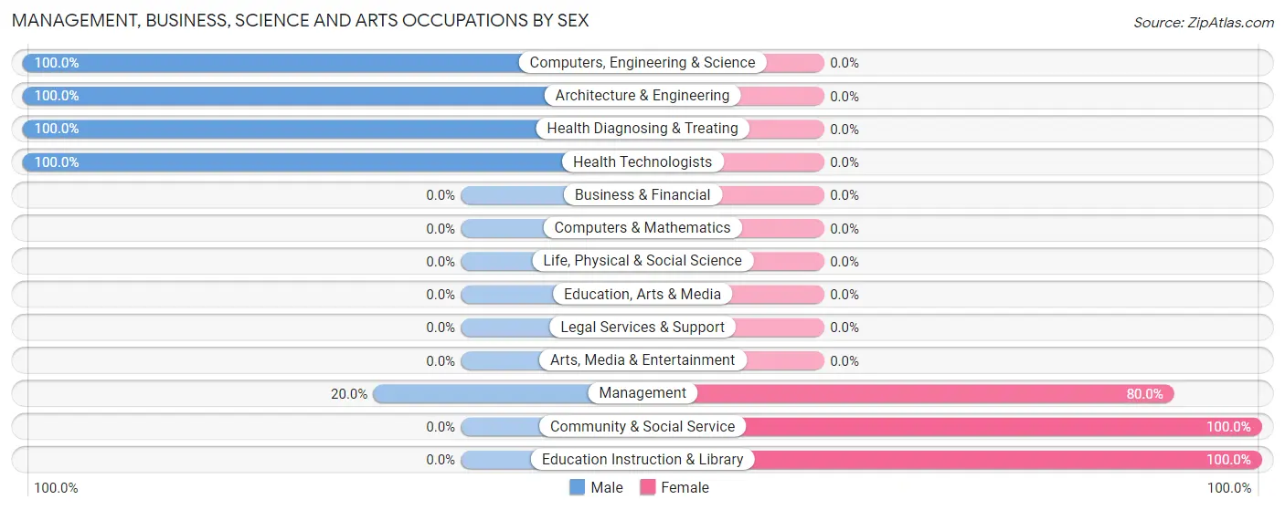 Management, Business, Science and Arts Occupations by Sex in Brashear