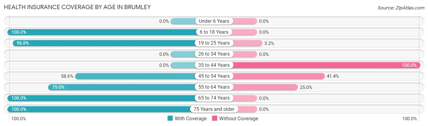 Health Insurance Coverage by Age in Brumley