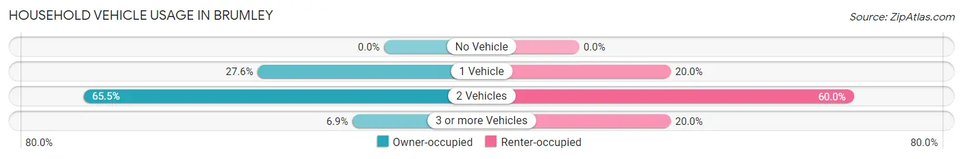 Household Vehicle Usage in Brumley