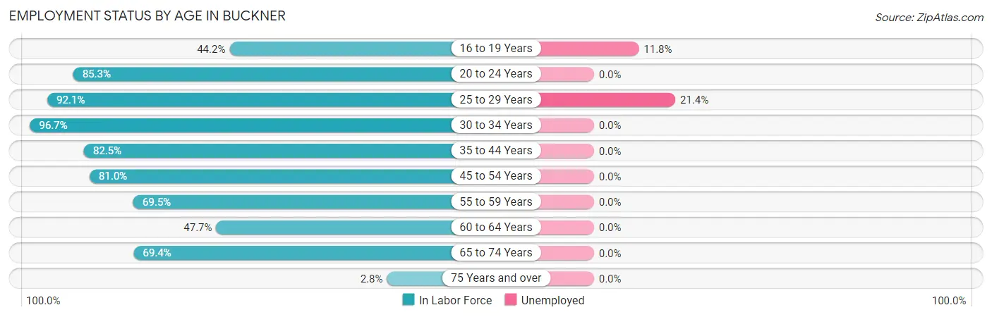 Employment Status by Age in Buckner