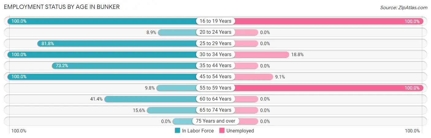 Employment Status by Age in Bunker