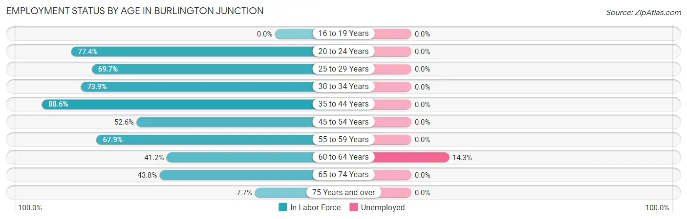 Employment Status by Age in Burlington Junction