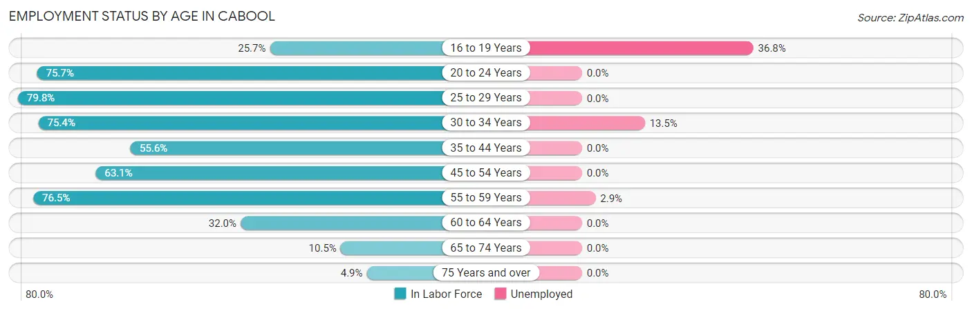 Employment Status by Age in Cabool