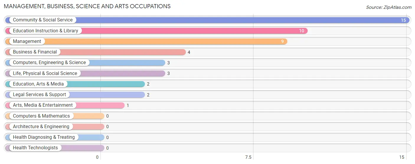 Management, Business, Science and Arts Occupations in Cairo