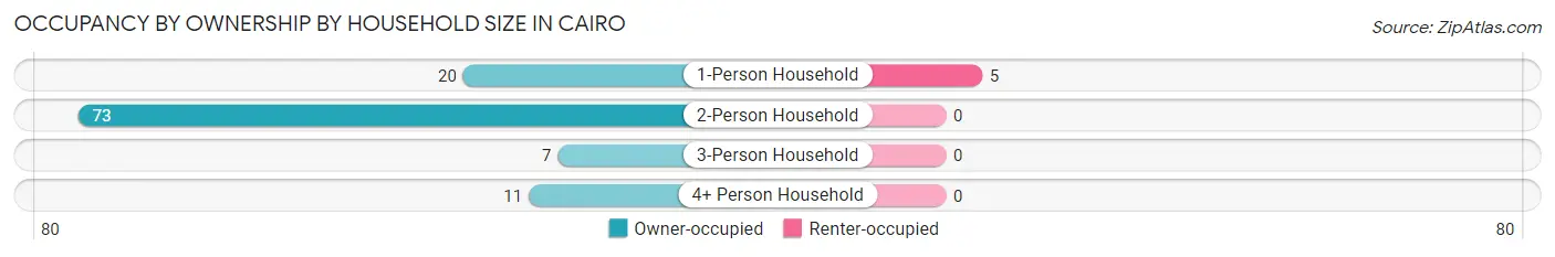 Occupancy by Ownership by Household Size in Cairo