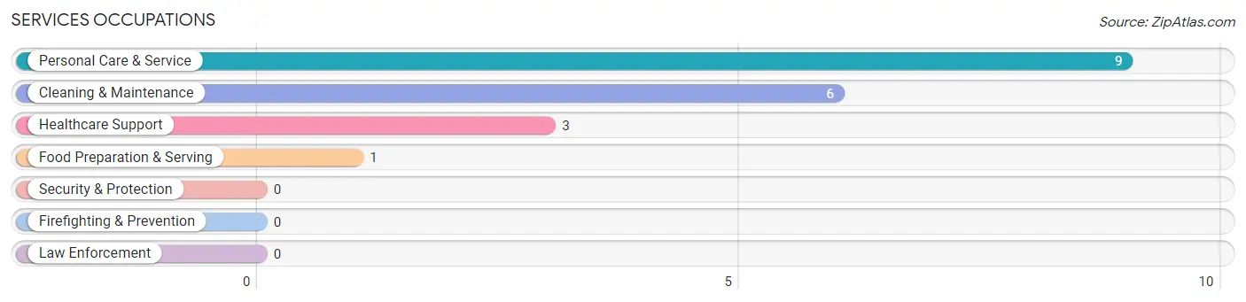 Services Occupations in Cairo