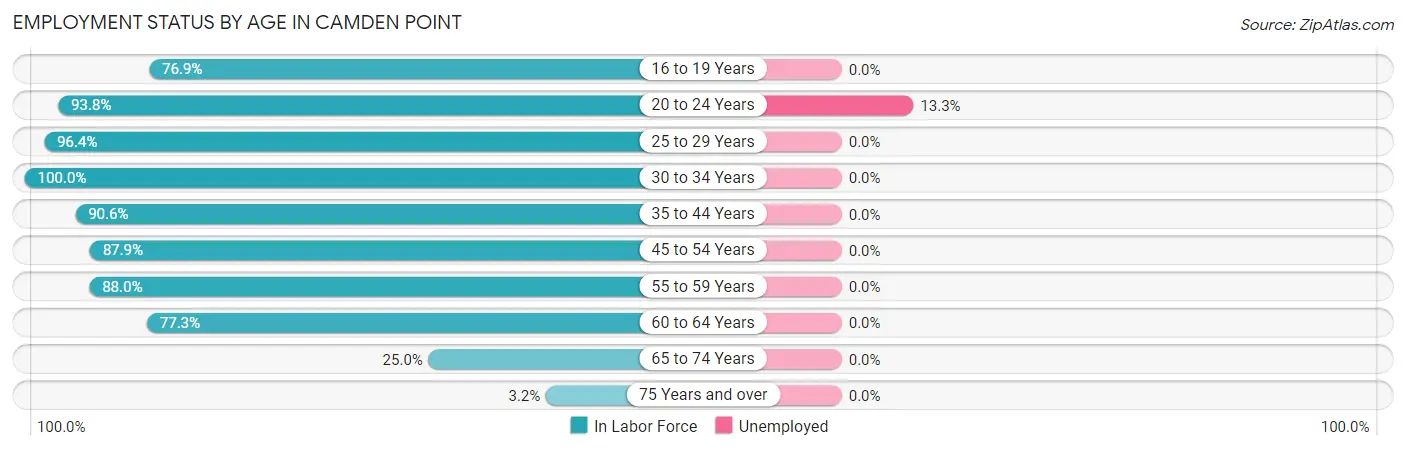 Employment Status by Age in Camden Point