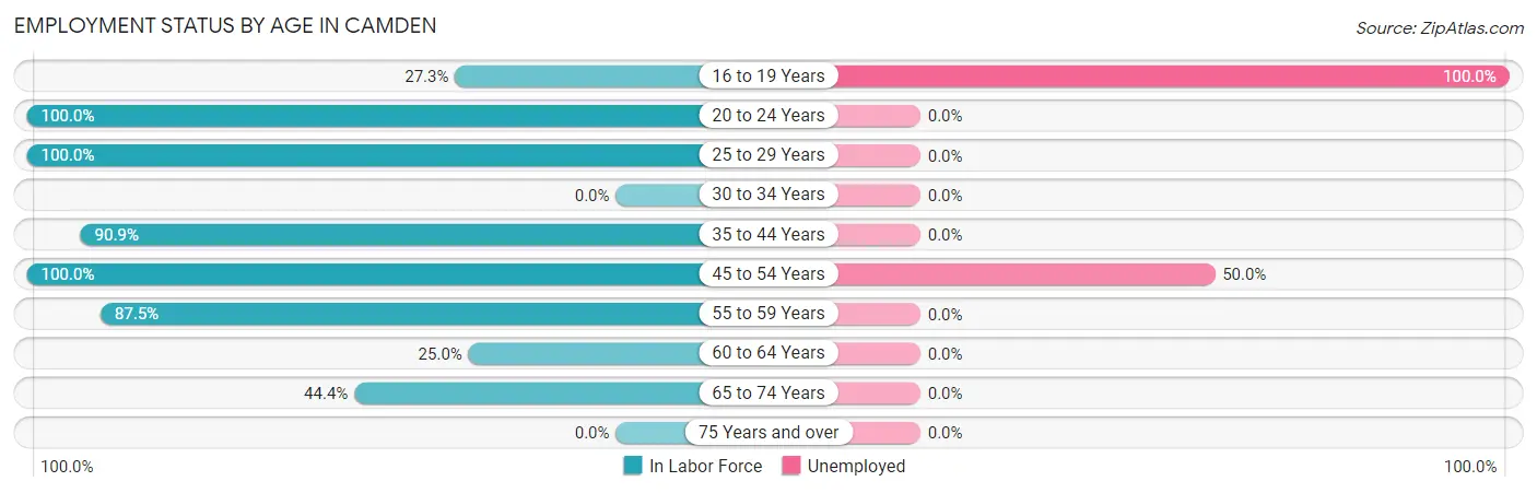 Employment Status by Age in Camden