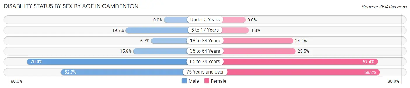 Disability Status by Sex by Age in Camdenton
