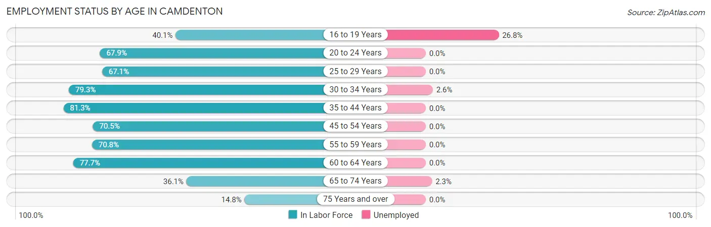 Employment Status by Age in Camdenton