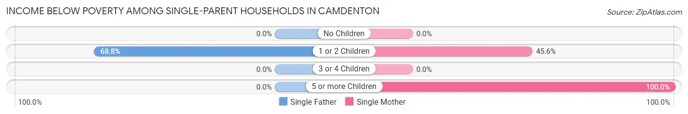 Income Below Poverty Among Single-Parent Households in Camdenton