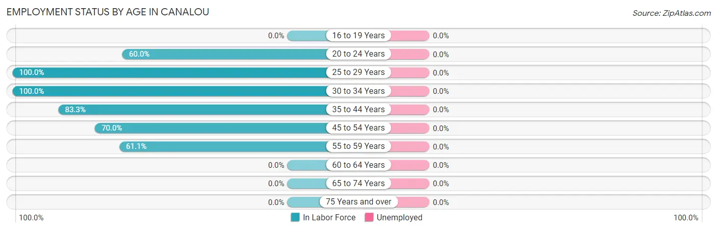 Employment Status by Age in Canalou