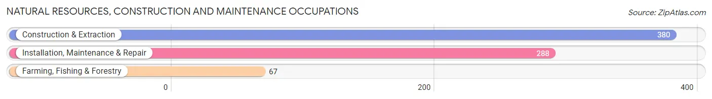 Natural Resources, Construction and Maintenance Occupations in Cape Girardeau