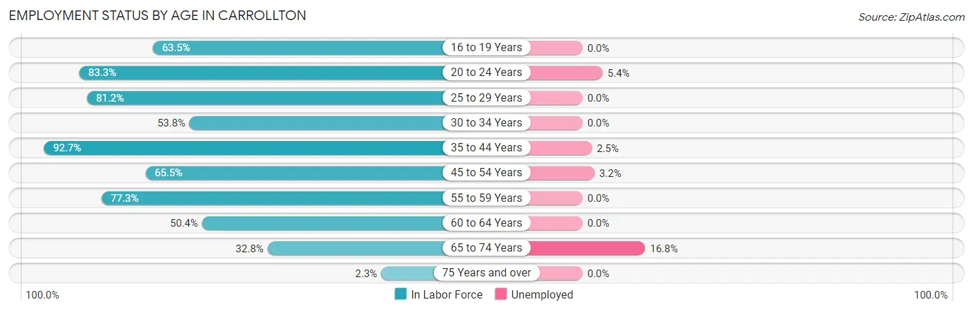 Employment Status by Age in Carrollton