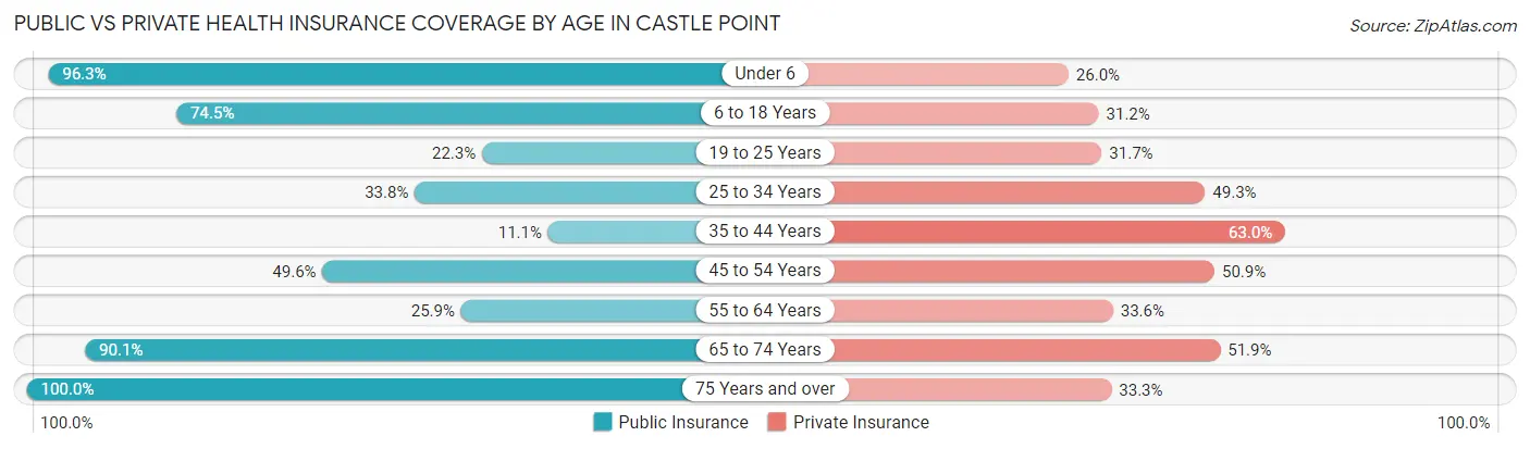 Public vs Private Health Insurance Coverage by Age in Castle Point