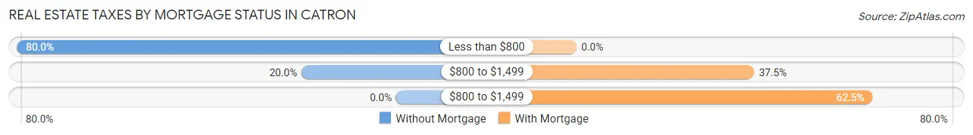 Real Estate Taxes by Mortgage Status in Catron