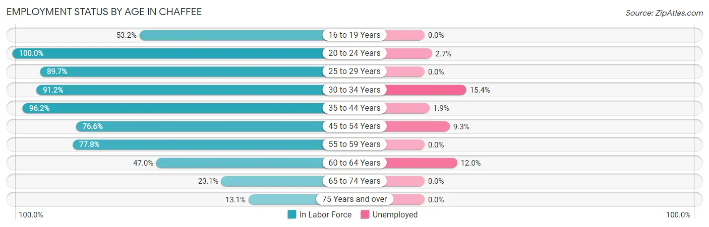 Employment Status by Age in Chaffee