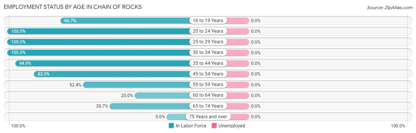 Employment Status by Age in Chain of Rocks