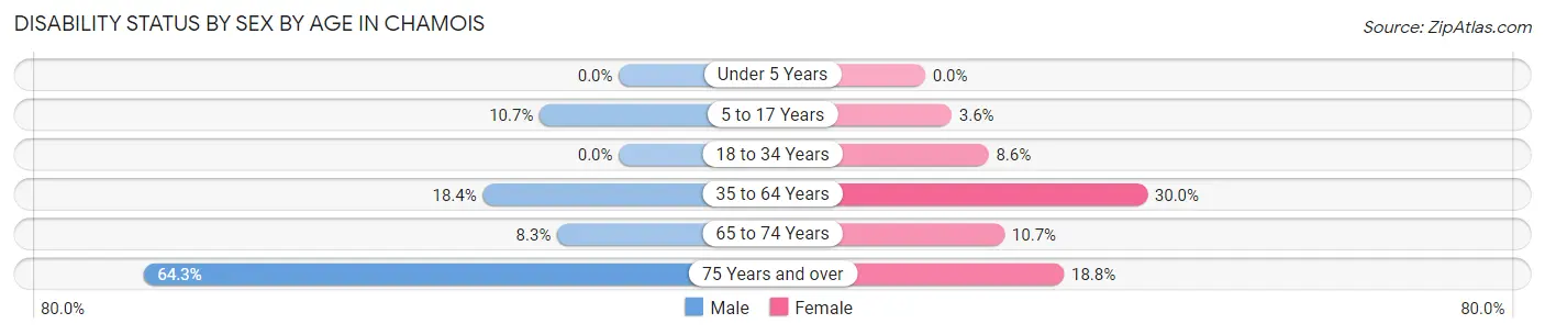 Disability Status by Sex by Age in Chamois