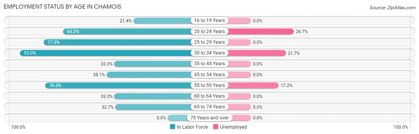 Employment Status by Age in Chamois