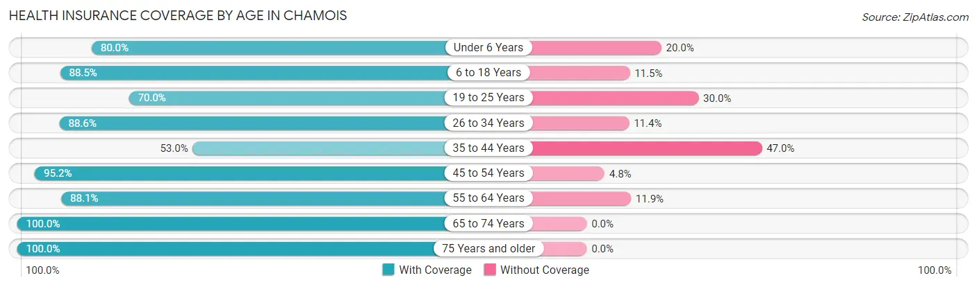Health Insurance Coverage by Age in Chamois