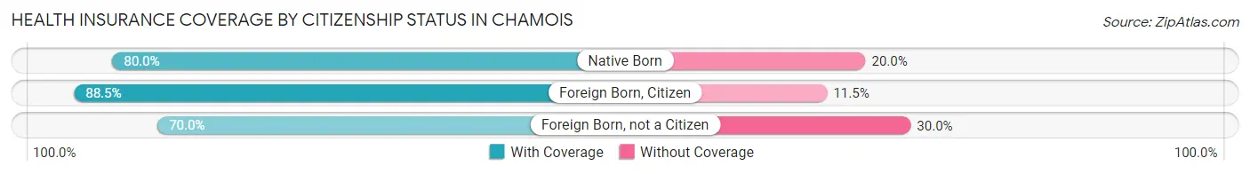 Health Insurance Coverage by Citizenship Status in Chamois