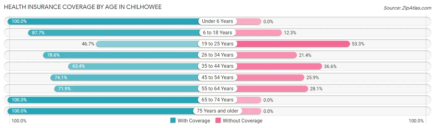 Health Insurance Coverage by Age in Chilhowee