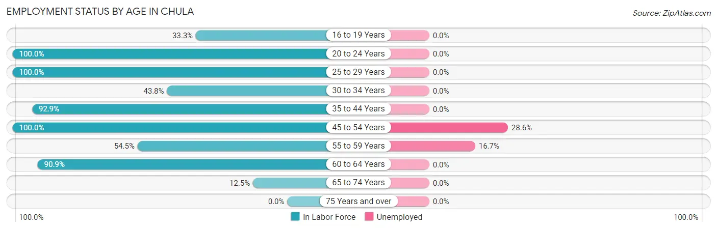 Employment Status by Age in Chula