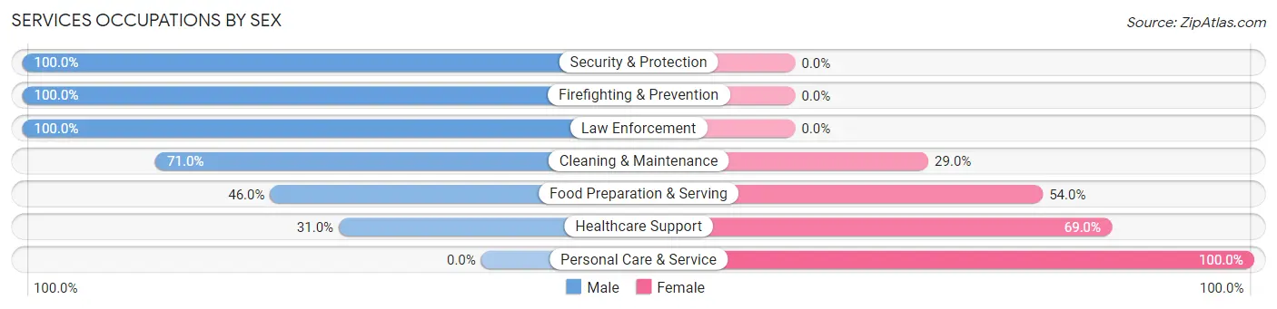 Services Occupations by Sex in Clever