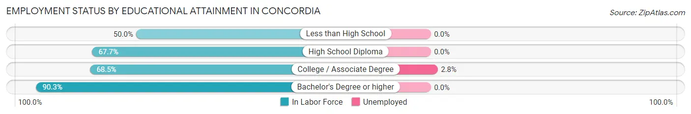 Employment Status by Educational Attainment in Concordia