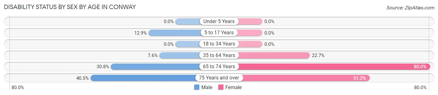Disability Status by Sex by Age in Conway