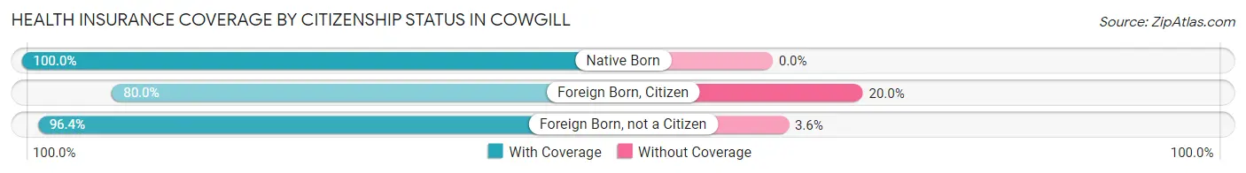 Health Insurance Coverage by Citizenship Status in Cowgill