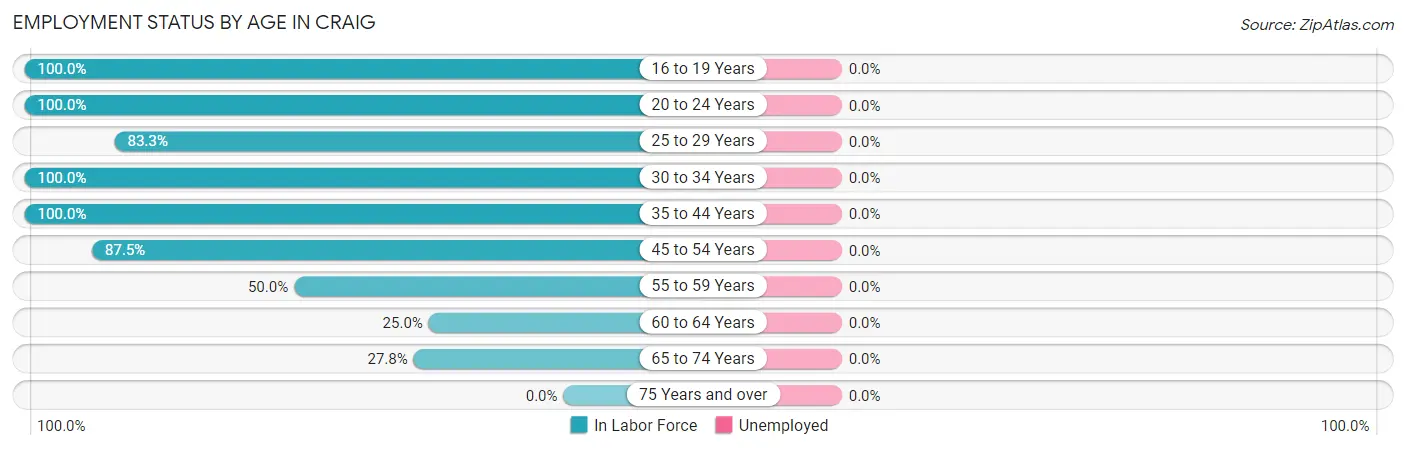 Employment Status by Age in Craig
