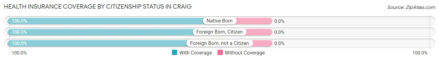 Health Insurance Coverage by Citizenship Status in Craig