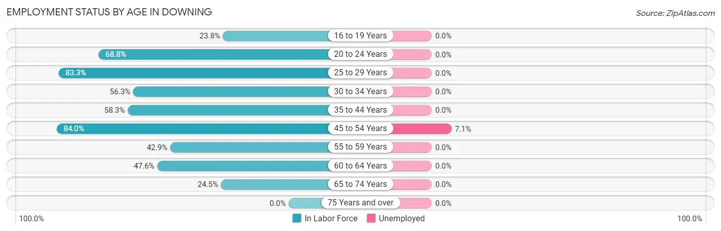 Employment Status by Age in Downing