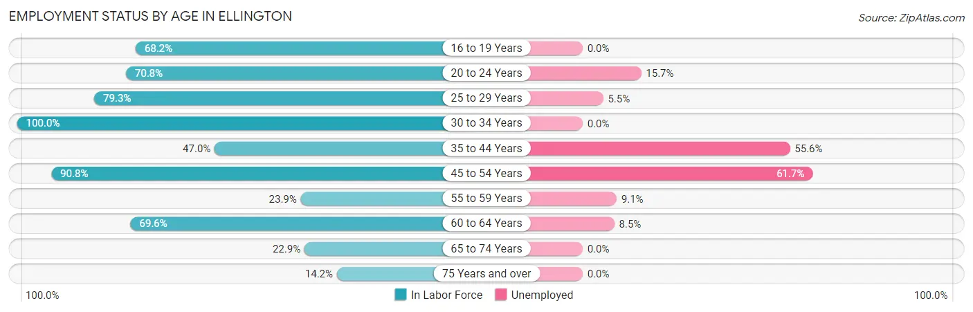 Employment Status by Age in Ellington